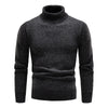 Stylischer Rollkragenpullover aus Strick