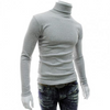 Rollkragenpullover Herren