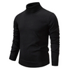 Strickpullover Rollkragenpullover Herren